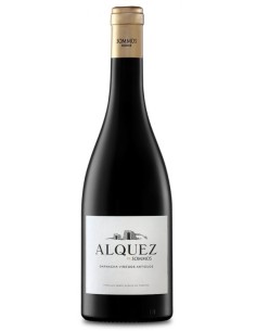 CALATAYUD ALQUEZ TINTO GARNACHA 2019