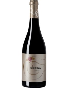 **C.BORJA GODINA 2020