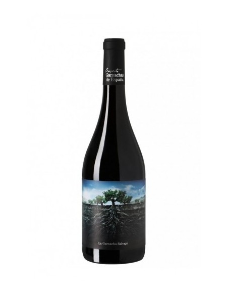 RIBERA DEL QUEILES GARNACHA SALVAJE MONCAYO 2020