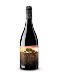  CALATAYUD GARNACHA OLVIDADA ARAGON 2020