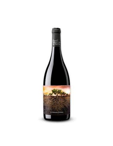  CALATAYUD GARNACHA OLVIDADA ARAGON 2020