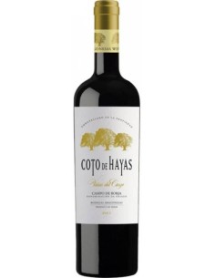 C.BORJA COTO DE HAYAS VIÑAS DEL CIERZO RESERVA 2015