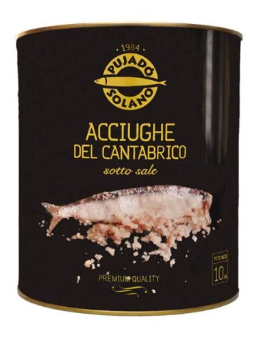 ANCHOA CANTABR.SALAZ.PUJADO SOLANO 10-12 KGS. 9...