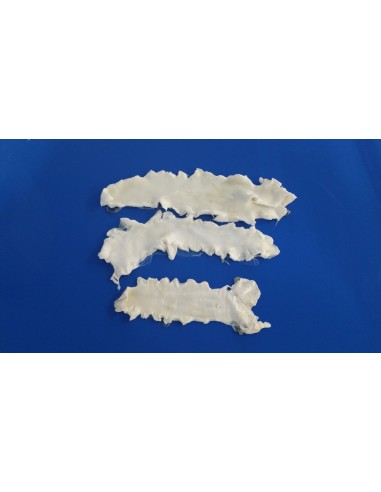 KGS.CALLOS BACALAO EDERPESCA