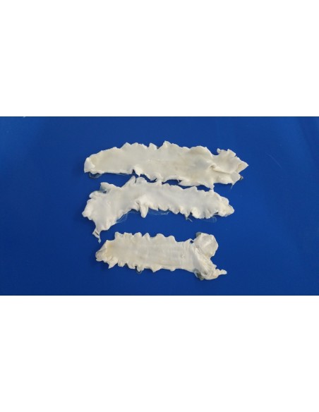 KGS.CALLOS BACALAO EDERPESCA