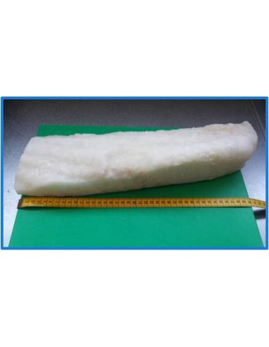 LOMO BACALAO JUMBO +1000 C.5 KILOS EDERPESCA